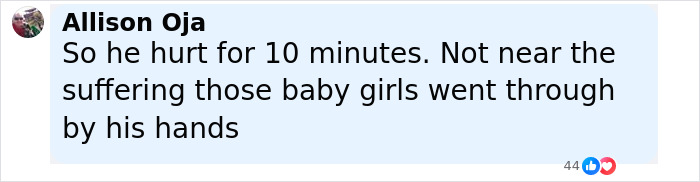 Comment expressing pain during execution after state refuses to turn off defibrillator, referencing inmate's suffering. - 23