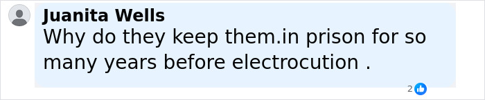 Comment by Juanita Wells questioning the long prison time before electrocution in inmate pain during execution. - 17