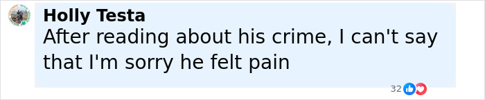 Comment by Holly Testa expressing no sympathy for inmate who cried out in pain during execution with defibrillator active. - 22