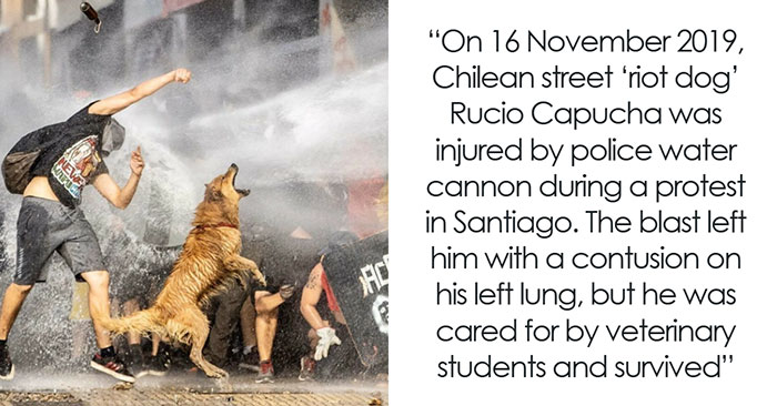 35 Times Ordinary People Decided They Need To Be The Change The World Needed (New Pics)