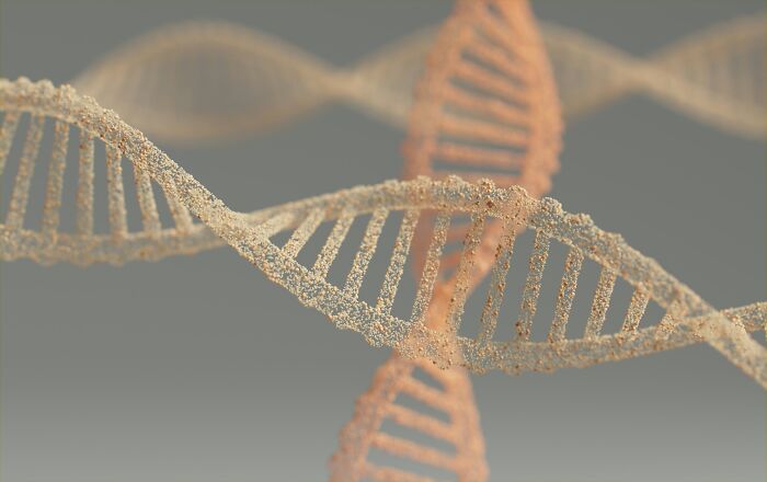 Close-up of DNA strands representing the critical point when the body starts to age rapidly in new study findings Close-up of DNA strands representing the critical point when the body starts to age rapidly in new study findings