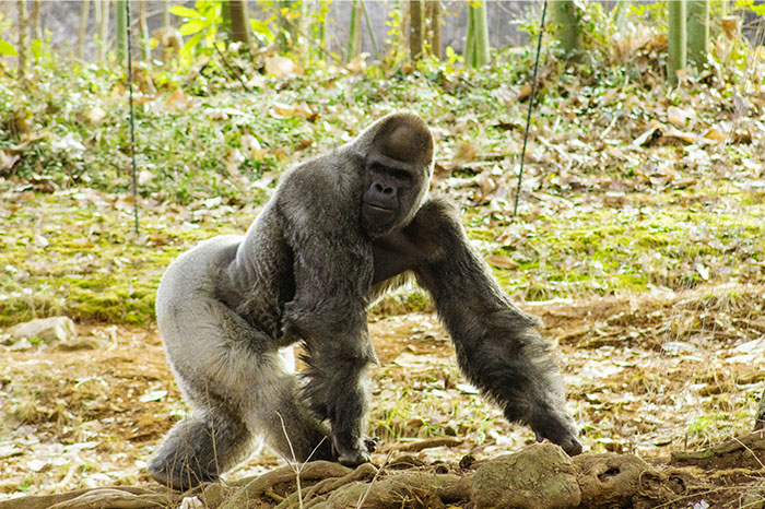 42 Police Officers Share Crazy Stories That Are Wilder Than The Movies