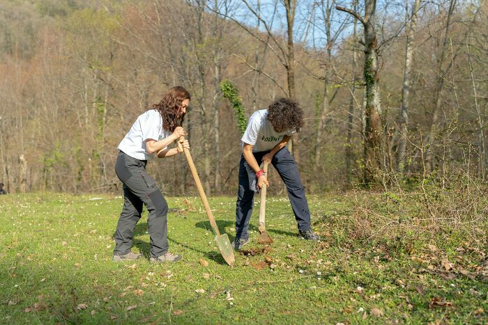 Two teenagers using shovels outdoors in a wooded area, unrelated to police or illegal activities.