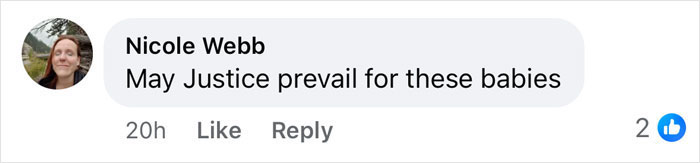 Comment from Nicole Webb saying May Justice prevail for these babies related to polygraph results for missing kids case.