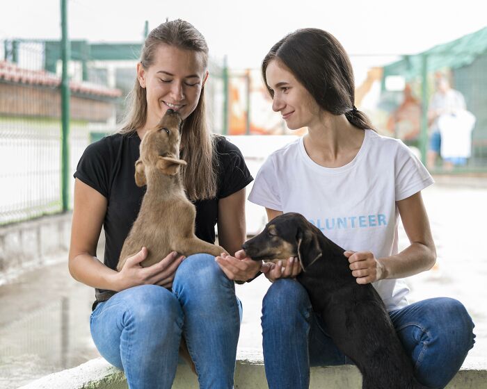Two women caring for rescued injured doggos, showing love and compassion as part of a dog rescue and nursing effort. Two women caring for rescued injured doggos, showing love and compassion as part of a dog rescue and nursing effort.