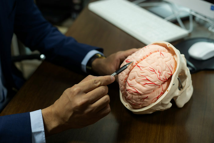 Doctor in suit pointing at brain model on desk, illustrating rare condition causing terrifying dragon vision.