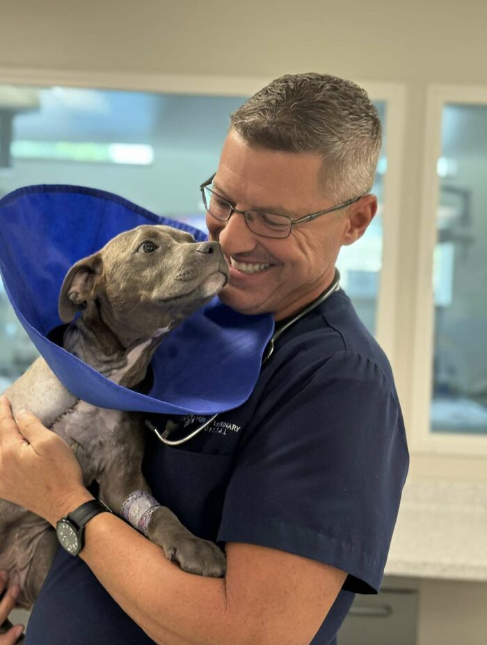 Veterinarian smiling and holding a puppy recovering from leg amputation wearing a protective collar in a clinic setting