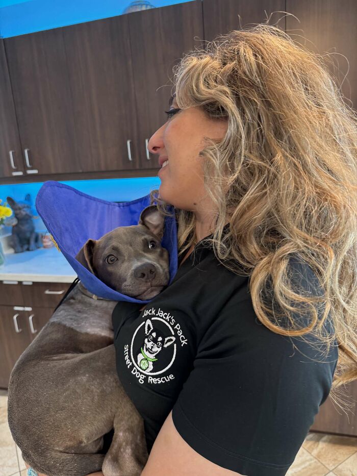 Woman holding a rescued puppy wearing a protective cone after leg amputation, showing recovery and veterinary care support.