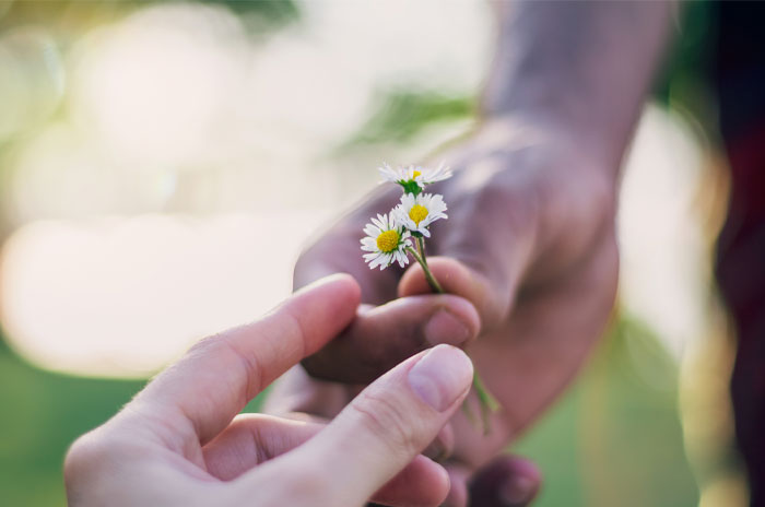 Hands exchanging small white flowers symbolizing mood-based questions to ask your crush in a soft natural setting