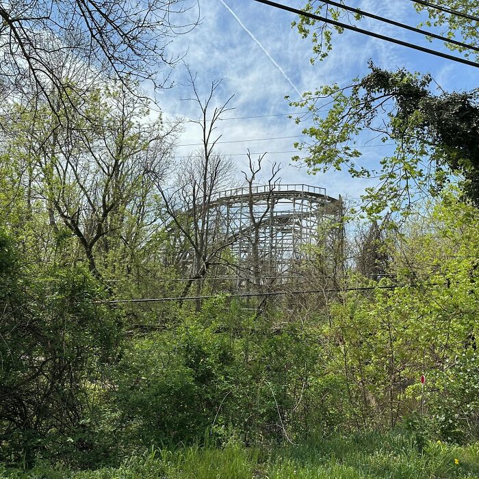 Overgrown vegetation surrounding an abandoned roller coaster structure under a partly cloudy sky.
