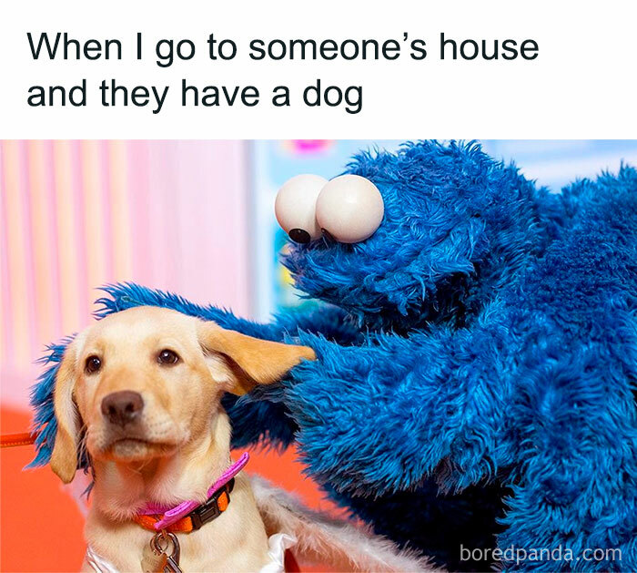 Blue furry character playfully touching a dog, illustrating a funny meme that hits the too real part of the brain.