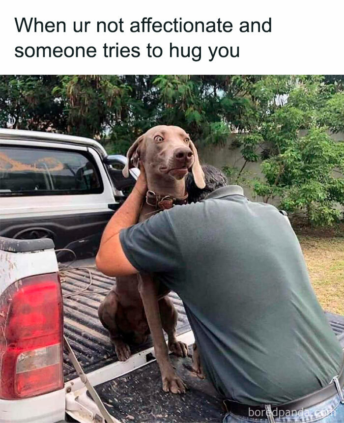 Man hugging a dog that looks uncomfortable, illustrating funny memes that hit the too real part of the brain.