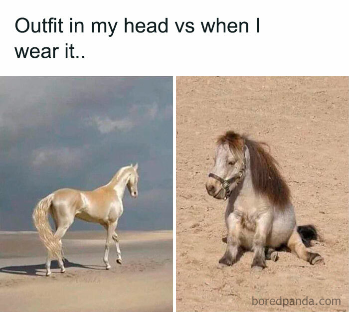 Comparison meme showing a majestic horse versus a small pony, illustrating funny memes that hit the too real part of the brain.
