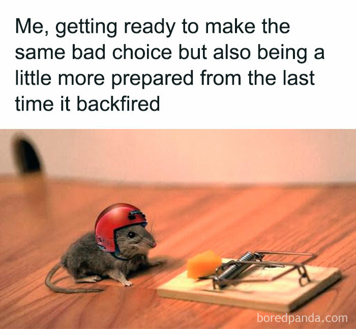 Mouse wearing a tiny red helmet cautiously approaching a trap, illustrating a funny meme about making bad choices.