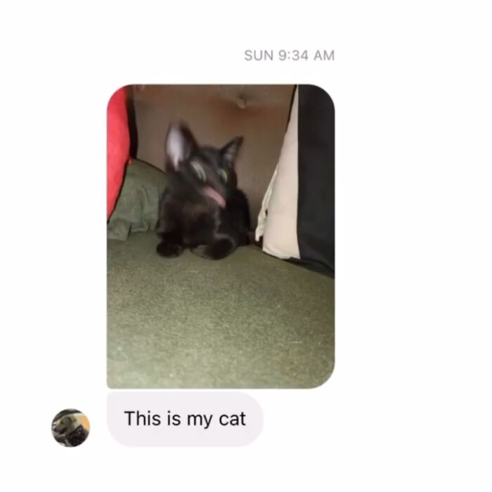 Blurry photo of a black cat with its tongue out on a couch, showing a funny and strange feline moment.