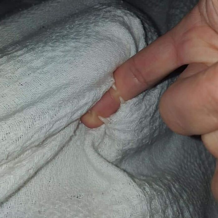 Close-up of a finger caught by sharp cat claws under a white textured fabric, showing funny cat behavior.