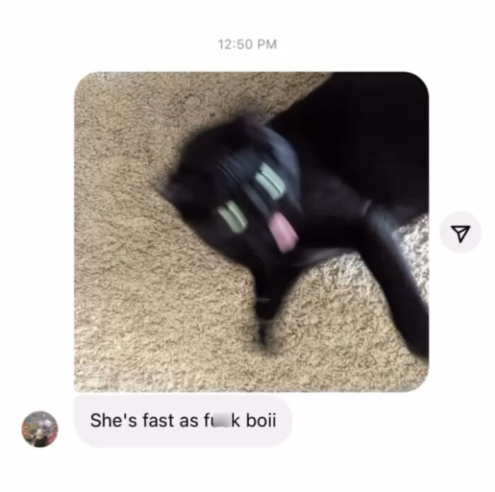 Blurry black cat with wide eyes and tongue out on carpet, a funny and strange photo of cats shared online.