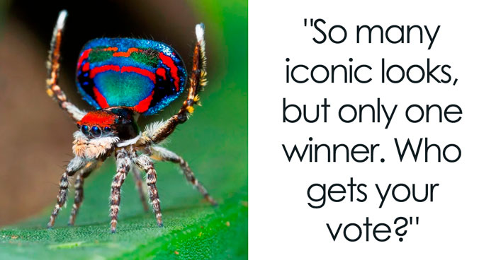 Reader’s Vote: Which Of These Cool-Looking Animals Is The Most Mind-Blowing?