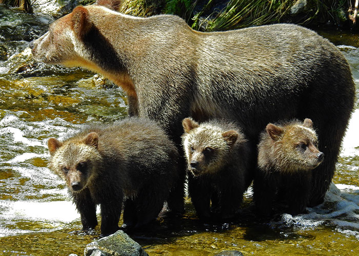 50 Times People Met Pure Evil And Lived To Tell The Tale