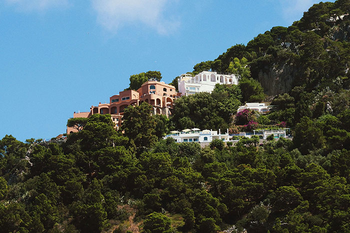 Luxury hillside mansions surrounded by trees, illustrating absurd things rich people spend money on firsthand.