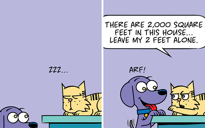 I Create Comics About My Dog, My Cat, And Their Daily Chaos, Here Are 26 Of Them