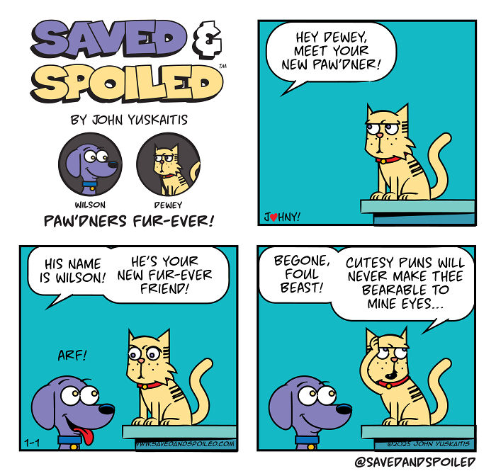 Comic strip featuring a dog and cat using playful pet puns to show their daily chaotic friendship.