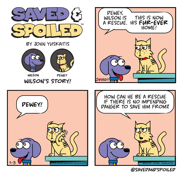 Comic strip featuring a dog and cat sharing humor about daily chaos in their rescue and home life.