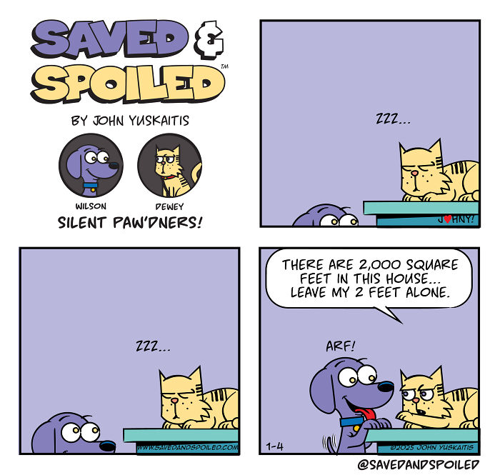 Comic about dog and cat daily chaos, featuring a sleeping cat and a playful dog interacting humorously.