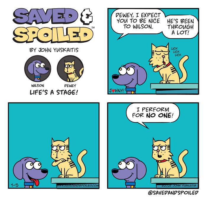 Comic strip featuring a dog and cat showcasing daily chaos in humorous pet comics by John Yuskaitis.