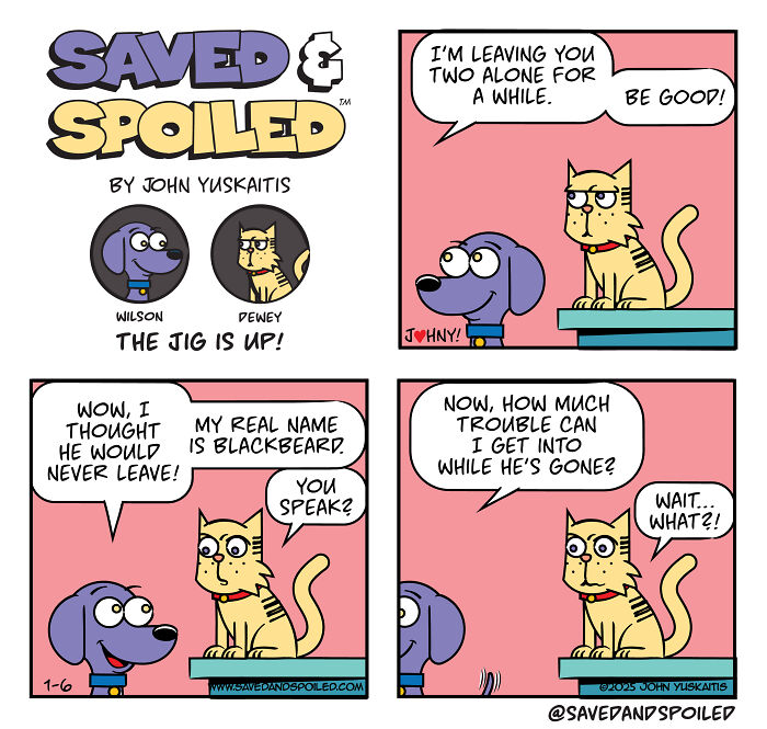 Comic strip featuring a dog and cat in daily chaos, showing their playful and mischievous interaction together.
