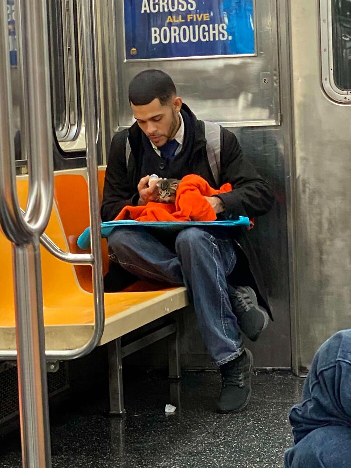 Man feeding kitten wrapped in a blanket while sitting on a subway train bench during a commute.