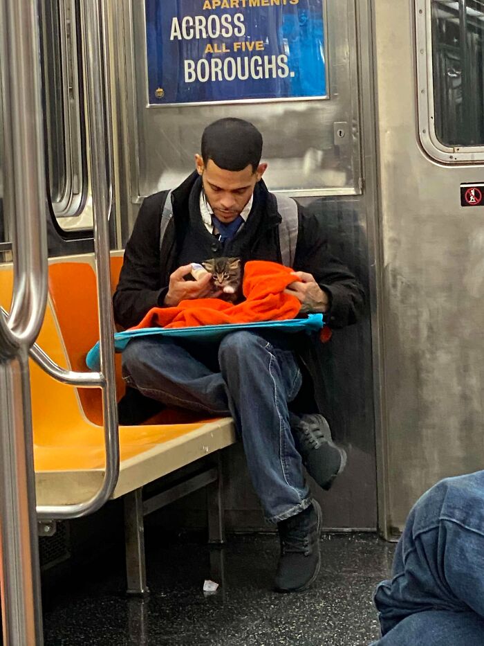 Man feeding kitten wrapped in an orange blanket while sitting on a subway train with orange seats.
