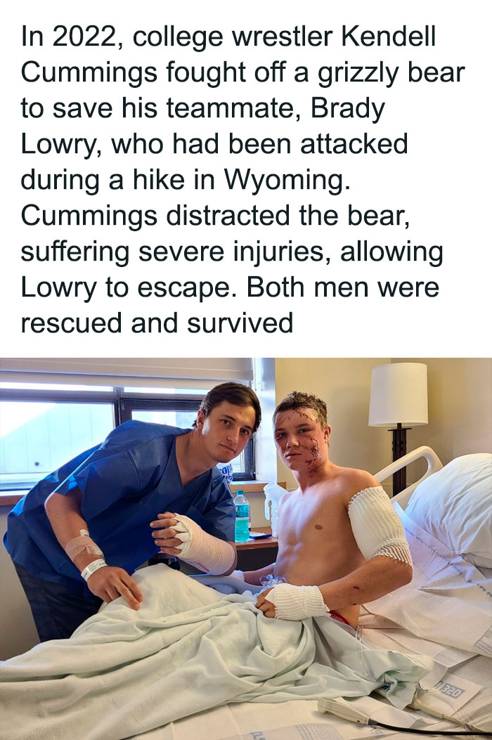 Two injured men in a hospital room after a grizzly bear attack, illustrating one of the creepy survival facts.
