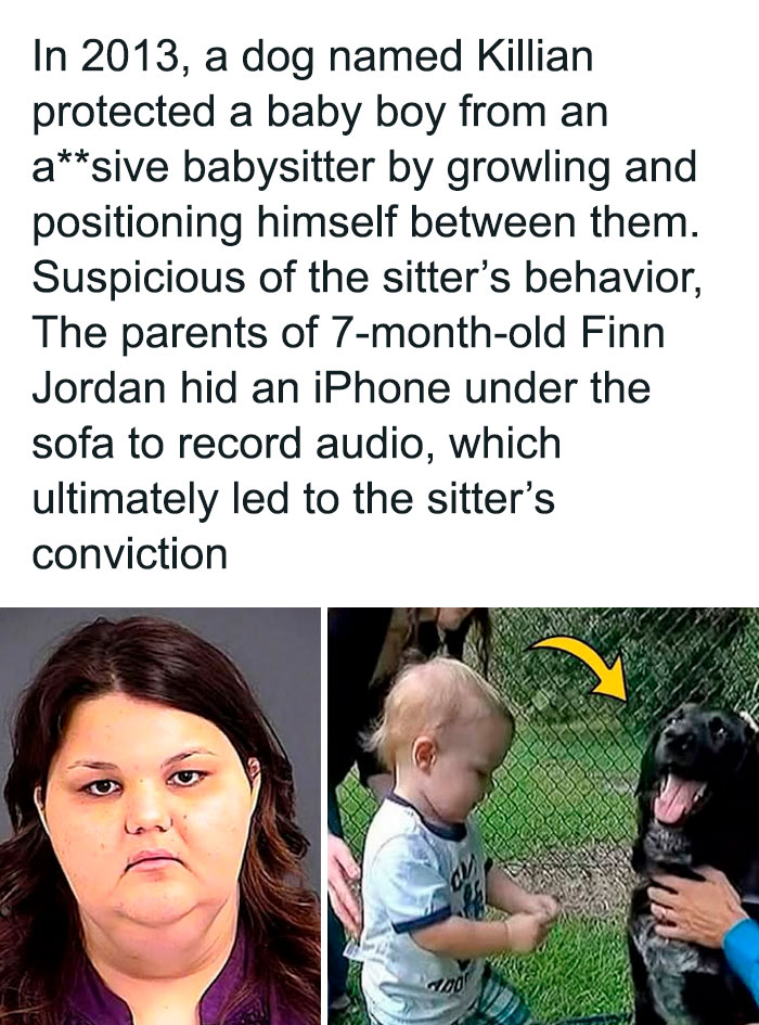 Woman convicted for abusing baby boy recorded by parents; dog Killian protected baby, highlighted in creepy facts and pictures.