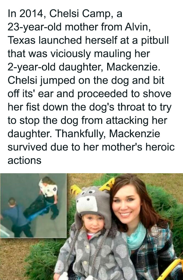 Mother heroically stops pitbull attack on toddler in 2014, a chilling real-life creepy fact from random creepy facts and pictures.