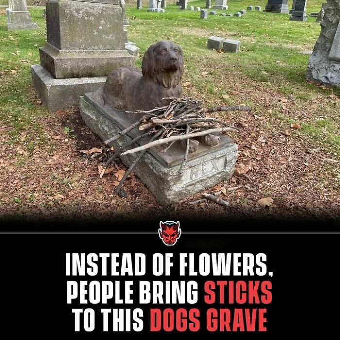 Dog statue on a grave covered with sticks in a cemetery, a creepy fact to deprive somebody of sleep.
