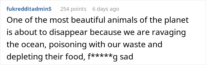 Blue whale singing has decreased by 40%, showing a decline in ocean health and raising concern among scientists.