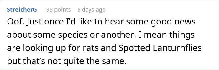 Comment about species decline and conservation, expressing concern over blue whale singing decrease by 40%.