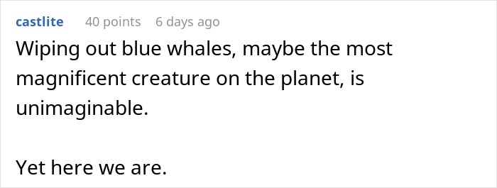 Comment discussing the unimaginable impact of blue whale population decline and its significance to the planet.