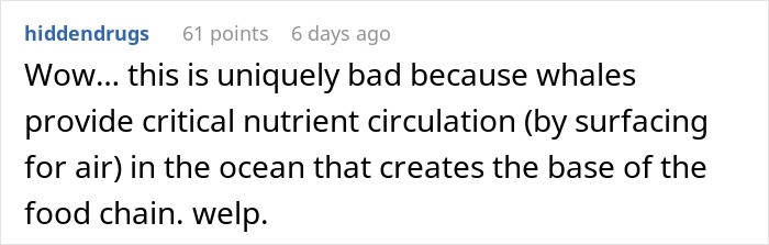 User comment about the decrease in blue whale singing and its impact on ocean nutrient circulation and the food chain.