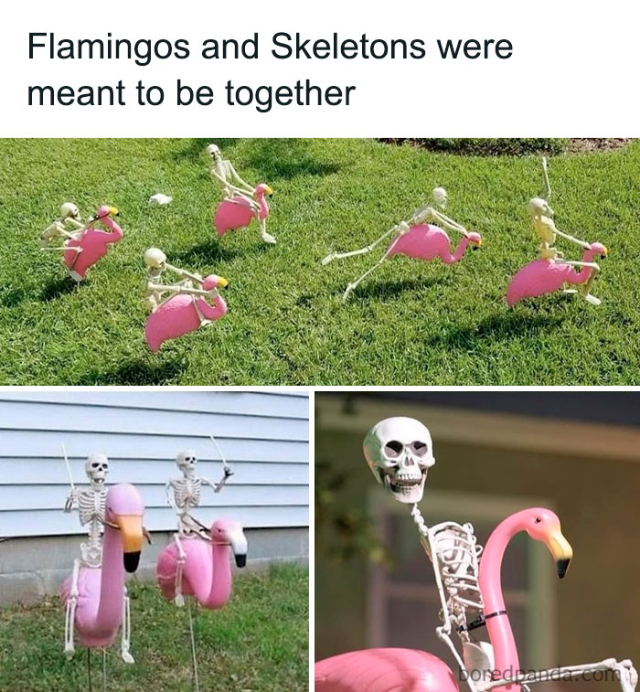 Humorous crafty idea showing skeleton decorations riding pink flamingo yard ornaments on grass.