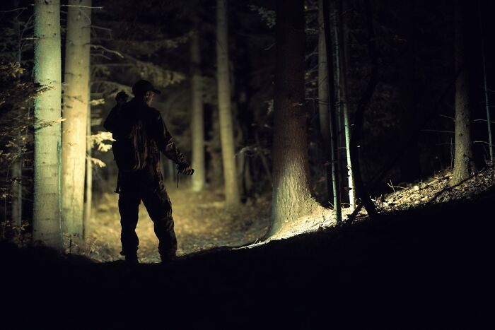 Person standing in dark woods at night with flashlight, evoking still scares after spending time in the woods. - 4