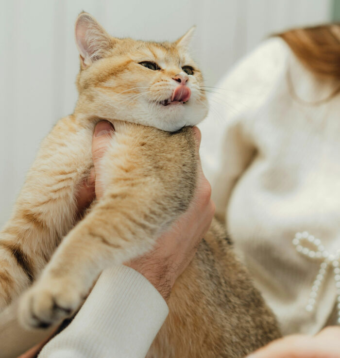 36 Workers Reveal The Strangest Excuses People Have Given To Call Off Work