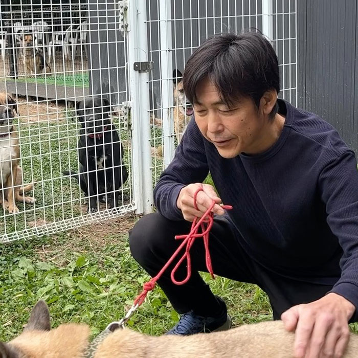 Man caring for a dog on a leash outside a fenced area with other dogs, symbolizing dog saves life and pet shelter.