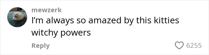 Comment about cat mom amazed by her black rescue cat's mystical talents from social media post. Comment about cat mom amazed by her black rescue cat's mystical talents from social media post.