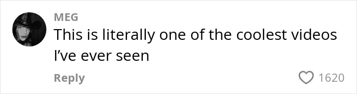 Comment praising a video as one of the coolest seen, posted by user Meg with 1620 likes on a social platform. Comment praising a video as one of the coolest seen, posted by user Meg with 1620 likes on a social platform.