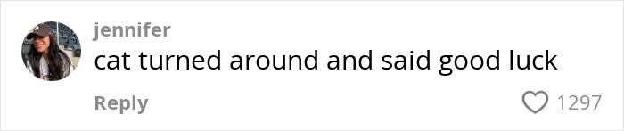Comment saying cat turned around and wished good luck, highlighting a black rescue cat with mystical talents. Comment saying cat turned around and wished good luck, highlighting a black rescue cat with mystical talents.