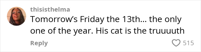 Comment from user thisisthelma about her cat being truthful on Friday the 13th, related to a black rescue cat with mystical talents. Comment from user thisisthelma about her cat being truthful on Friday the 13th, related to a black rescue cat with mystical talents.