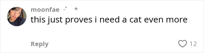 Comment about needing a cat more, related to a cat mom and her black rescue furball's mystical talents. Comment about needing a cat more, related to a cat mom and her black rescue furball's mystical talents.