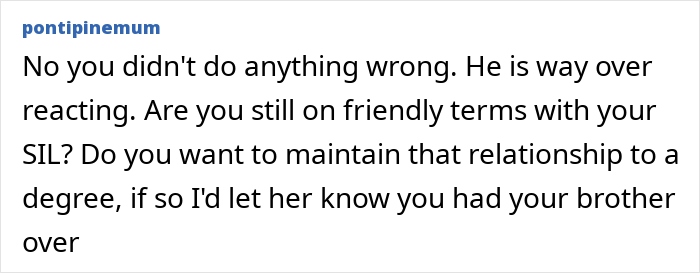 Comment discussing brother swapping wife and kids for a new flame and overreacting at sister&rsquo;s BBQ photos.